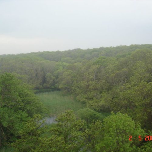 reserve de Baltata